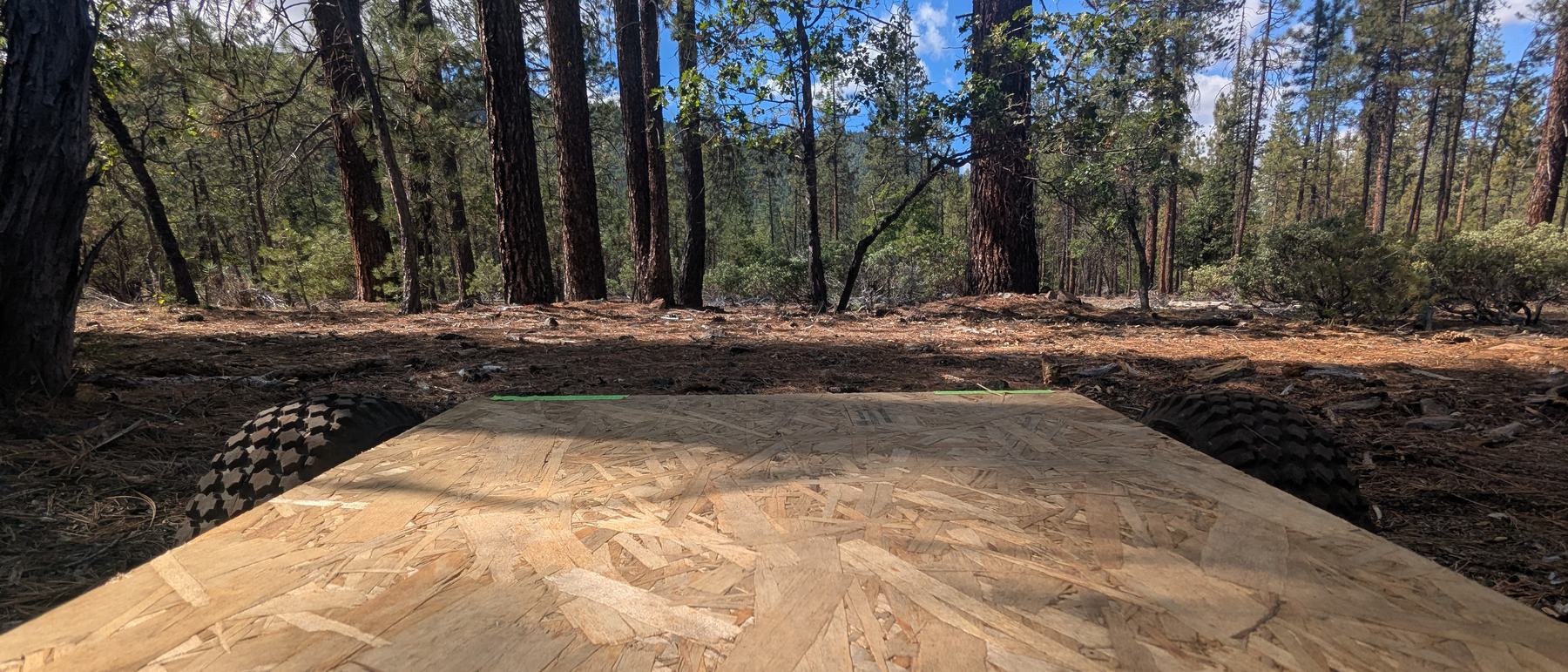 View from the top of the machine across the worksite, pine trees and open ground ahead